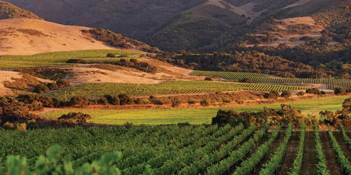 Cleaning services in Santa Ynez, CA