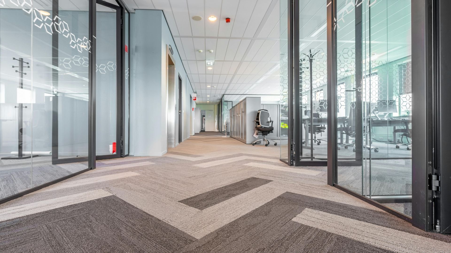 Modern office interior with glass walls and geometric carpet design